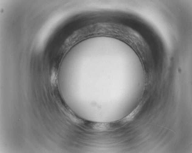 X0000057090142200510071921