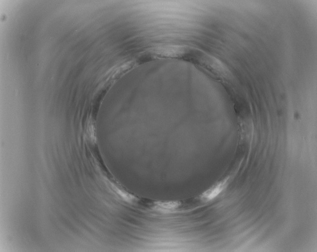 X0000057090143200510071921