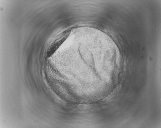 X0000057090145200510071920