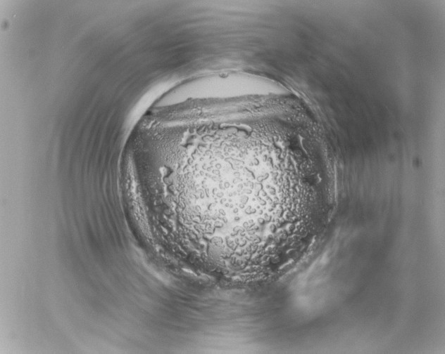 X0000057090147200510071920