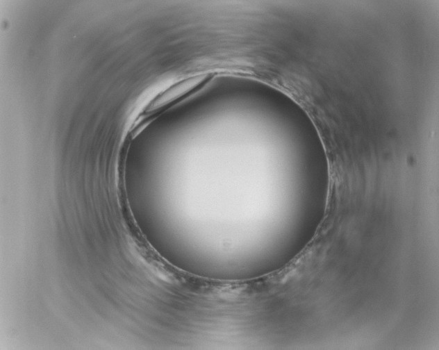 X0000057090148200510071920