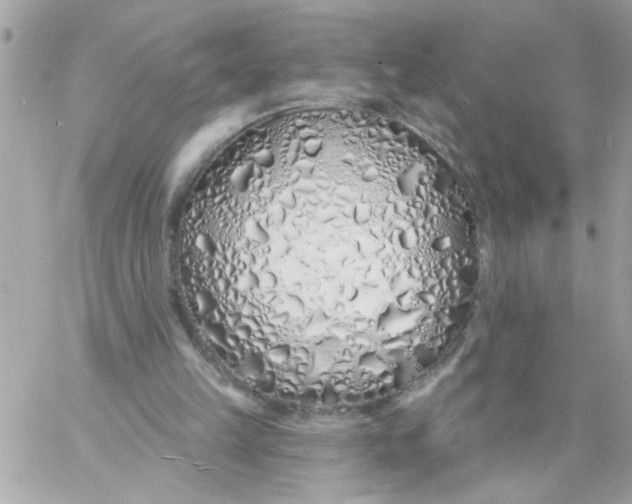 X0000057090149200510071920