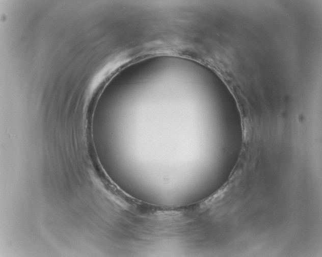 X0000057090150200510071920