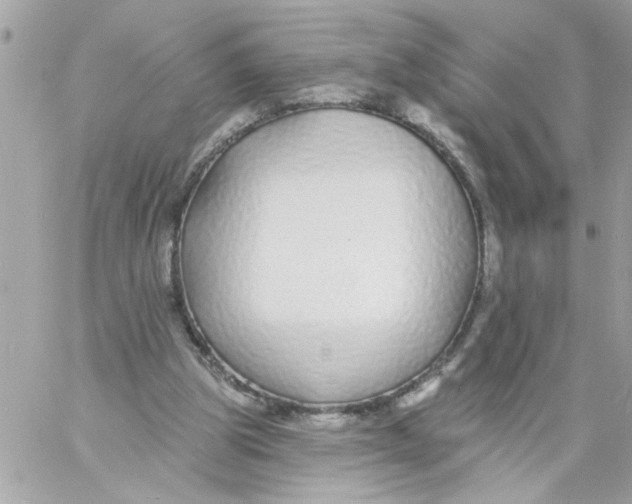 X0000057090153200510071920