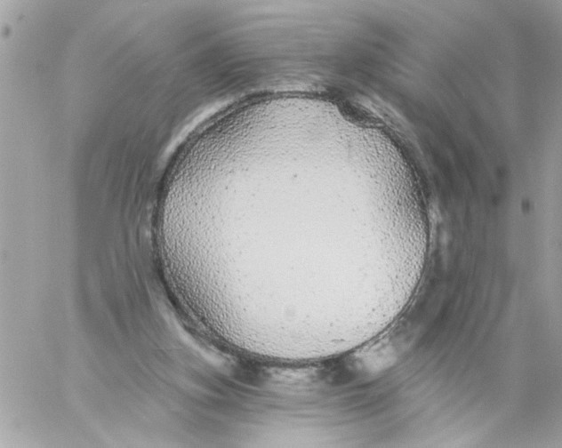 X0000057090155200510071920