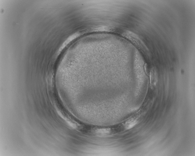 X0000057090156200510071920