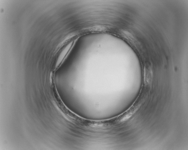 X0000057090157200510071920