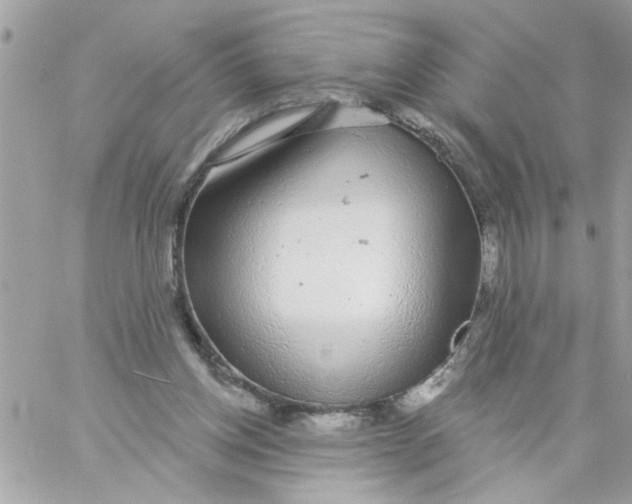 X0000057090158200510071920