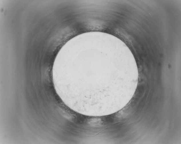 X0000057090162200510071920