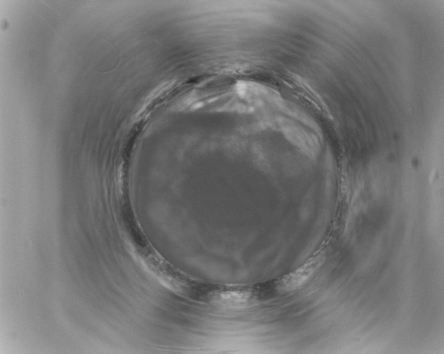 X0000057090163200510071920