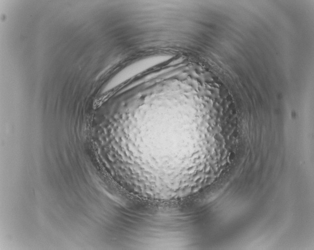 X0000057090165200510071920