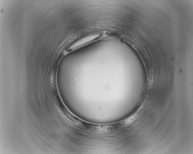 X0000057090166200510071920