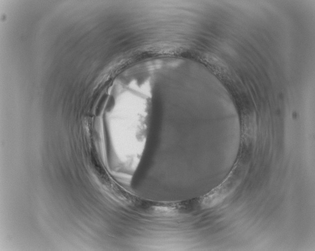 X0000057090167200510071920