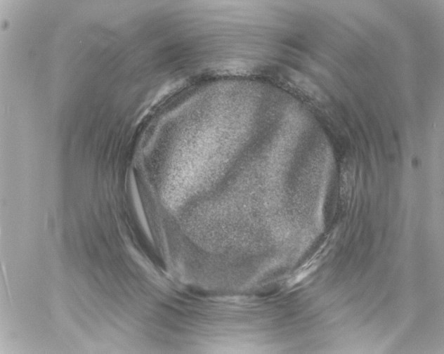 X0000057090168200510071920