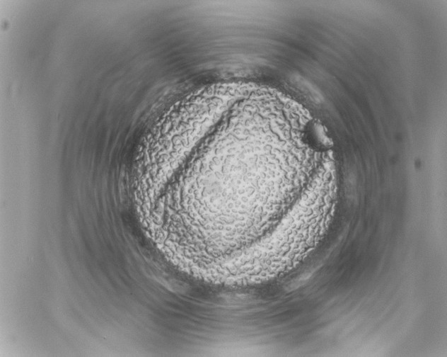 X0000057090169200510071920