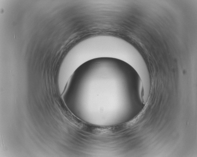 X0000057090170200510071920