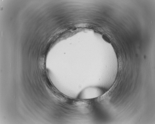 X0000057090171200510071920