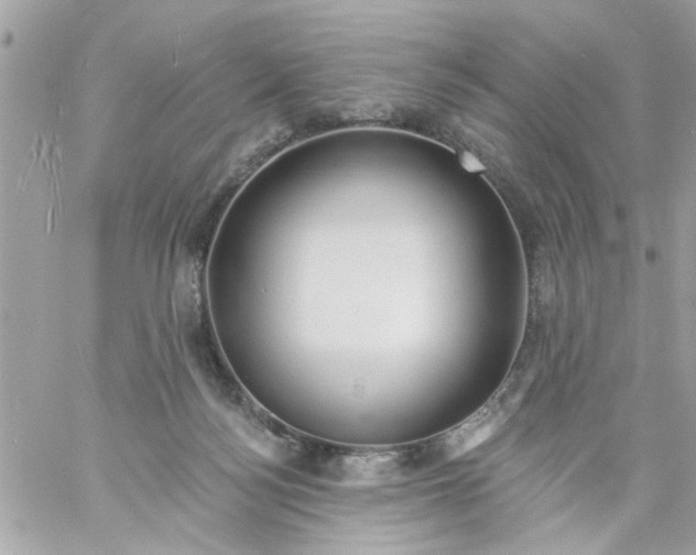 X0000057090172200510071920