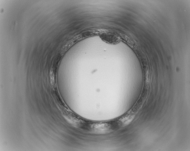 X0000057090173200510071920