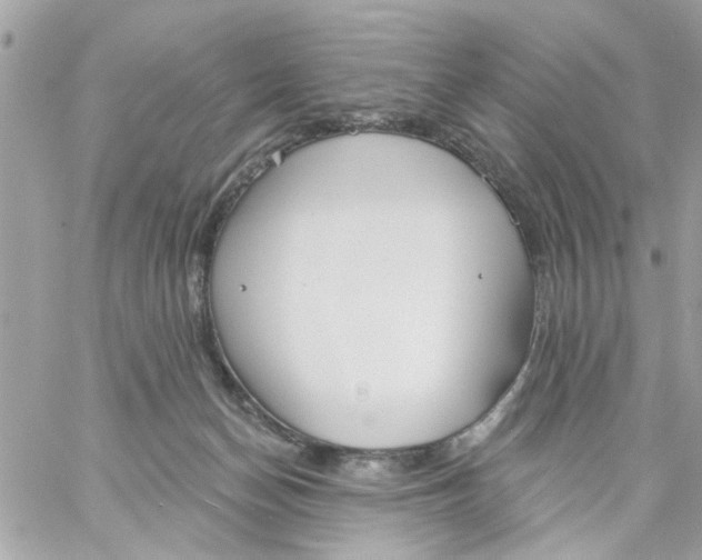 X0000057090174200510071920