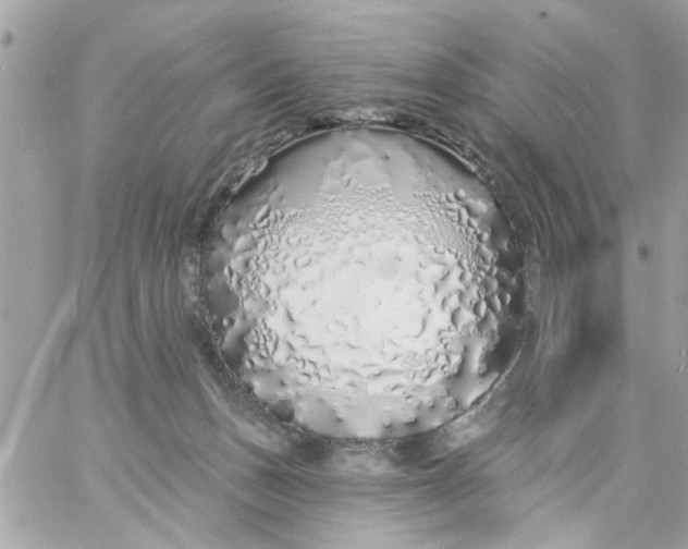 X0000057090175200510071920