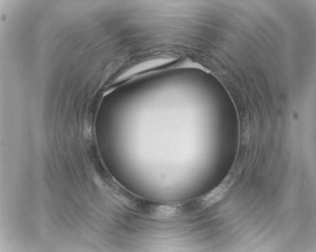 X0000057090176200510071920