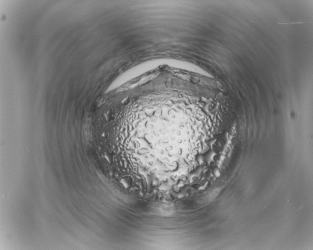 X0000057090181200510071920