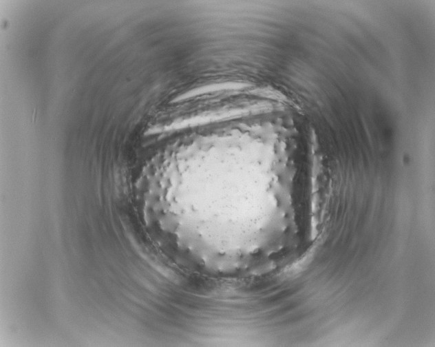 X0000057090182200510071920