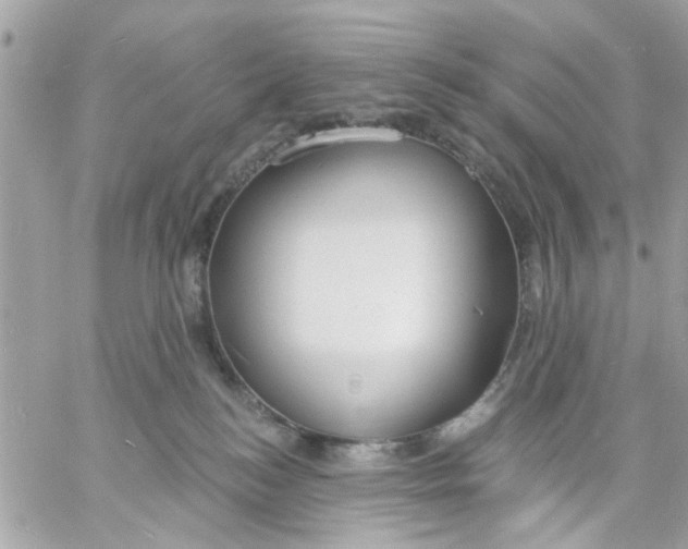 X0000057090184200510071920