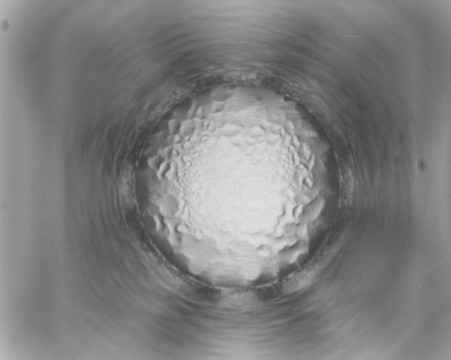 X0000057090185200510071920