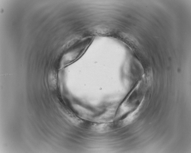 X0000057090186200510071921