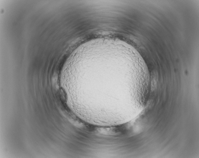 X0000057090187200510071921