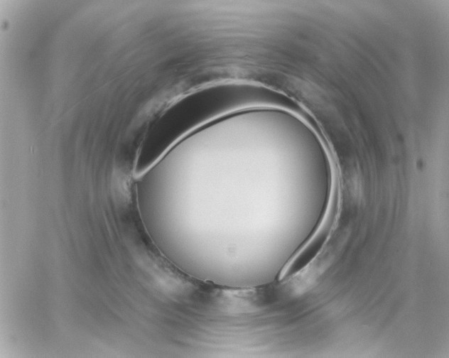 X0000057090188200510071921