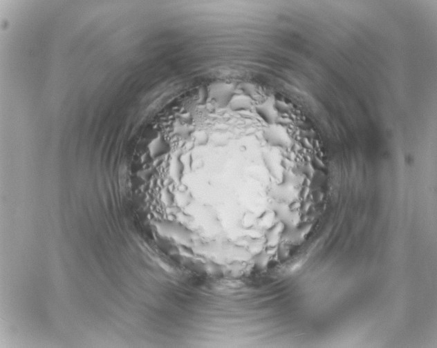 X0000057090189200510071921