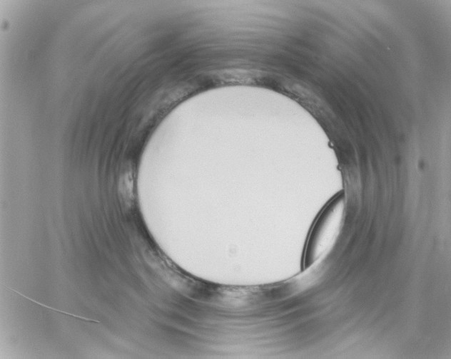 X0000057090190200510071921