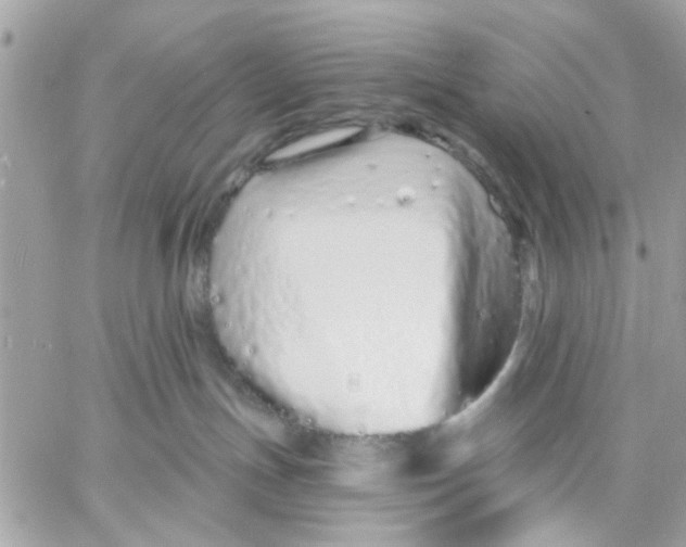 X0000057090191200510071921