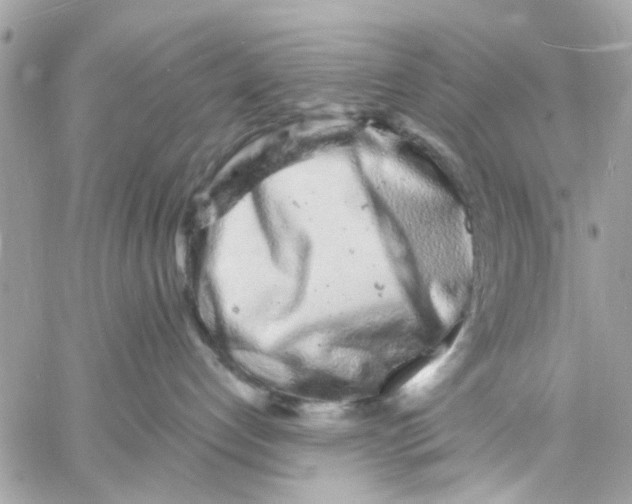 X0000057090192200510071921