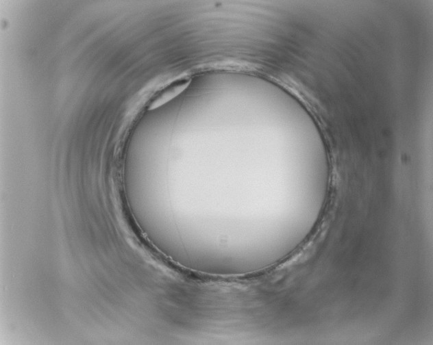 X0000057090193200510071920