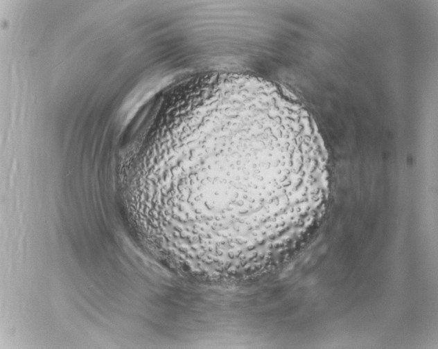 X0000057090194200510071920