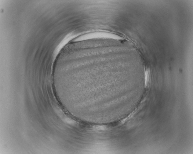 X0000057090195200510071920