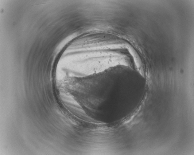 X0000057090196200510071920