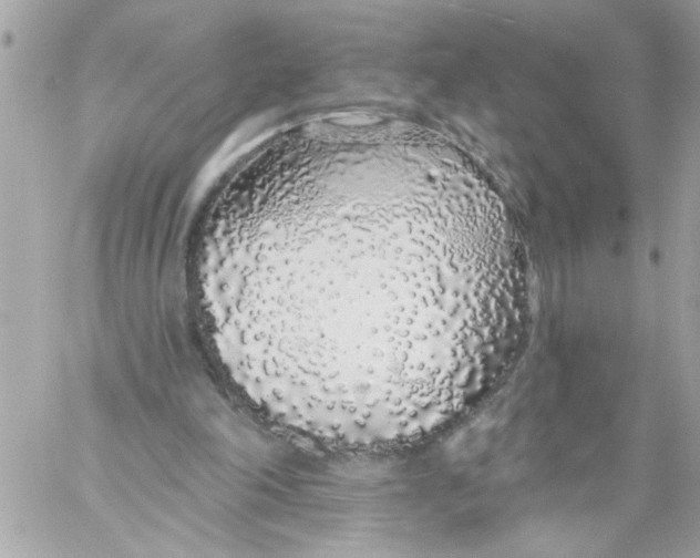 X0000057090198200510071920