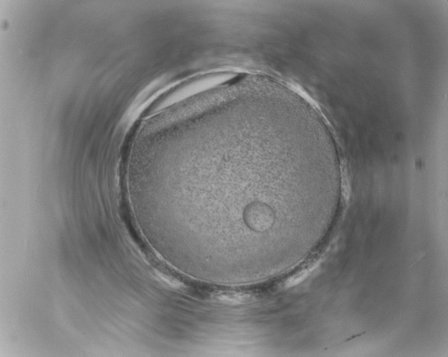 X0000057090199200510071920