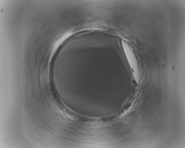 X0000057090200200510071920