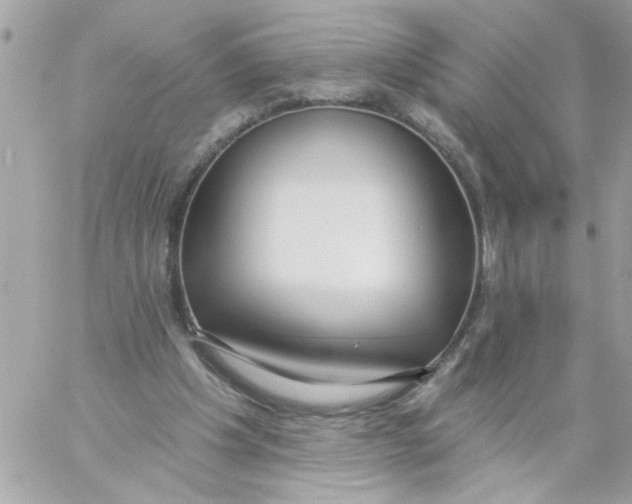 X0000057090201200510071920