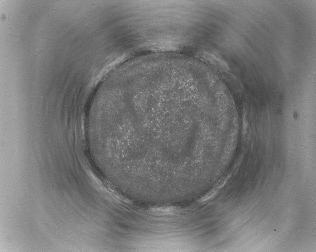 X0000057090202200510071920