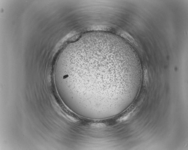 X0000057090203200510071920