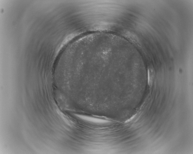 X0000057090204200510071920