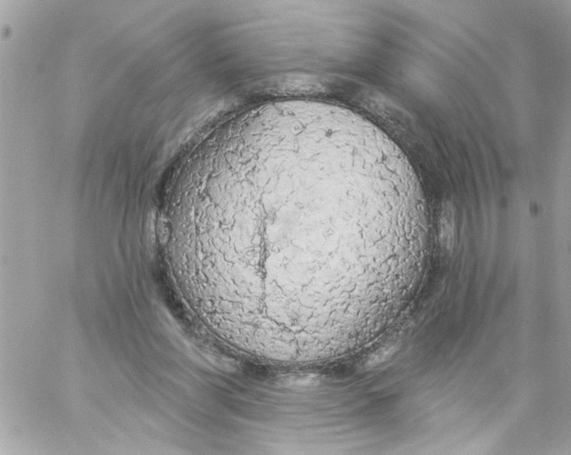 X0000057090206200510071920