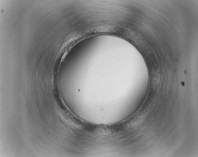 X0000057090207200510071920